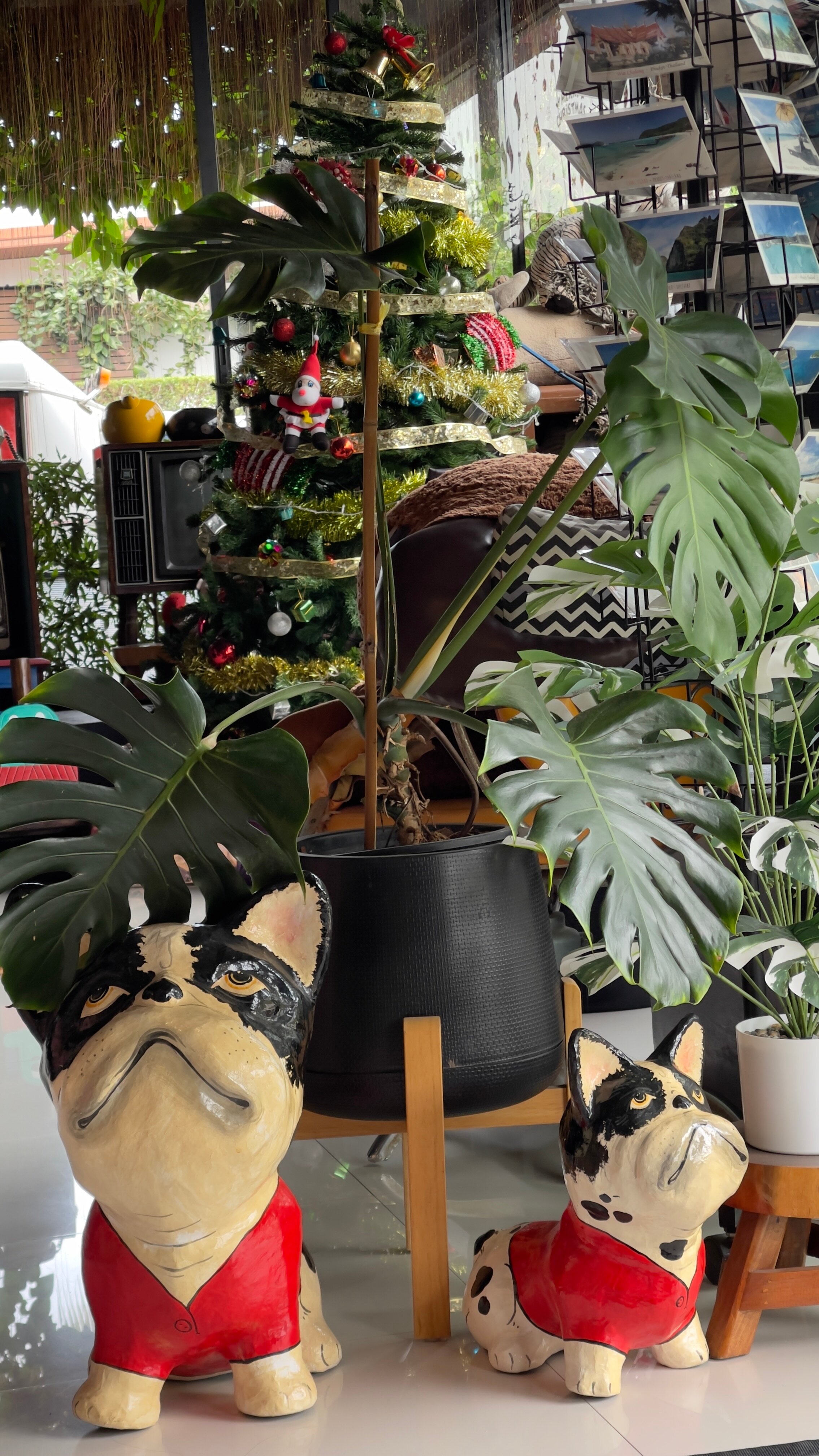 Фото Alphabeto Resort