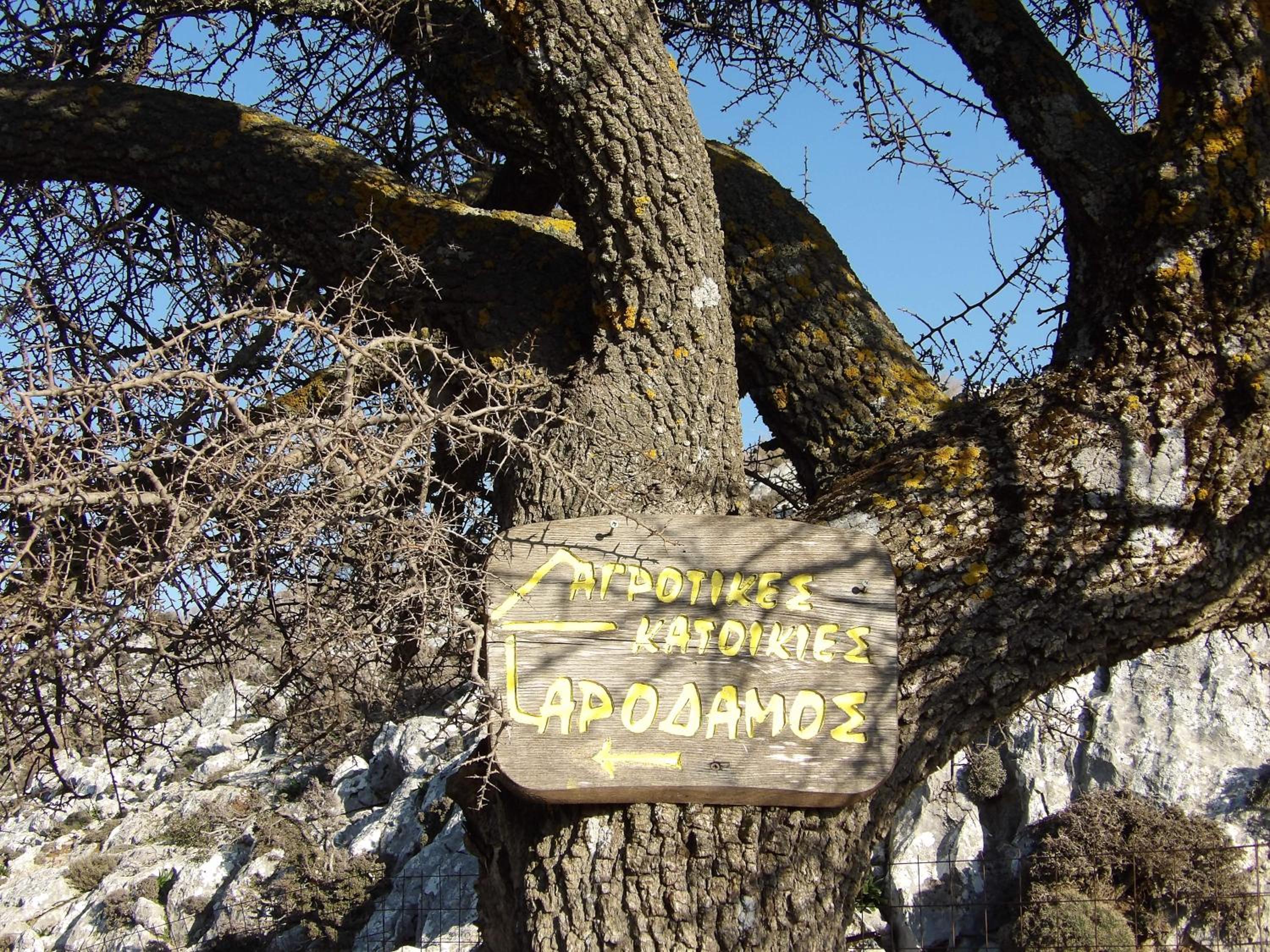 Фото Arodamos Traditional Houses