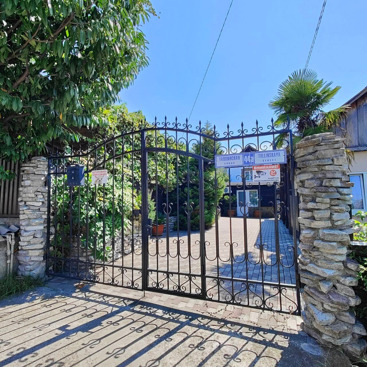 Фото Инфанта