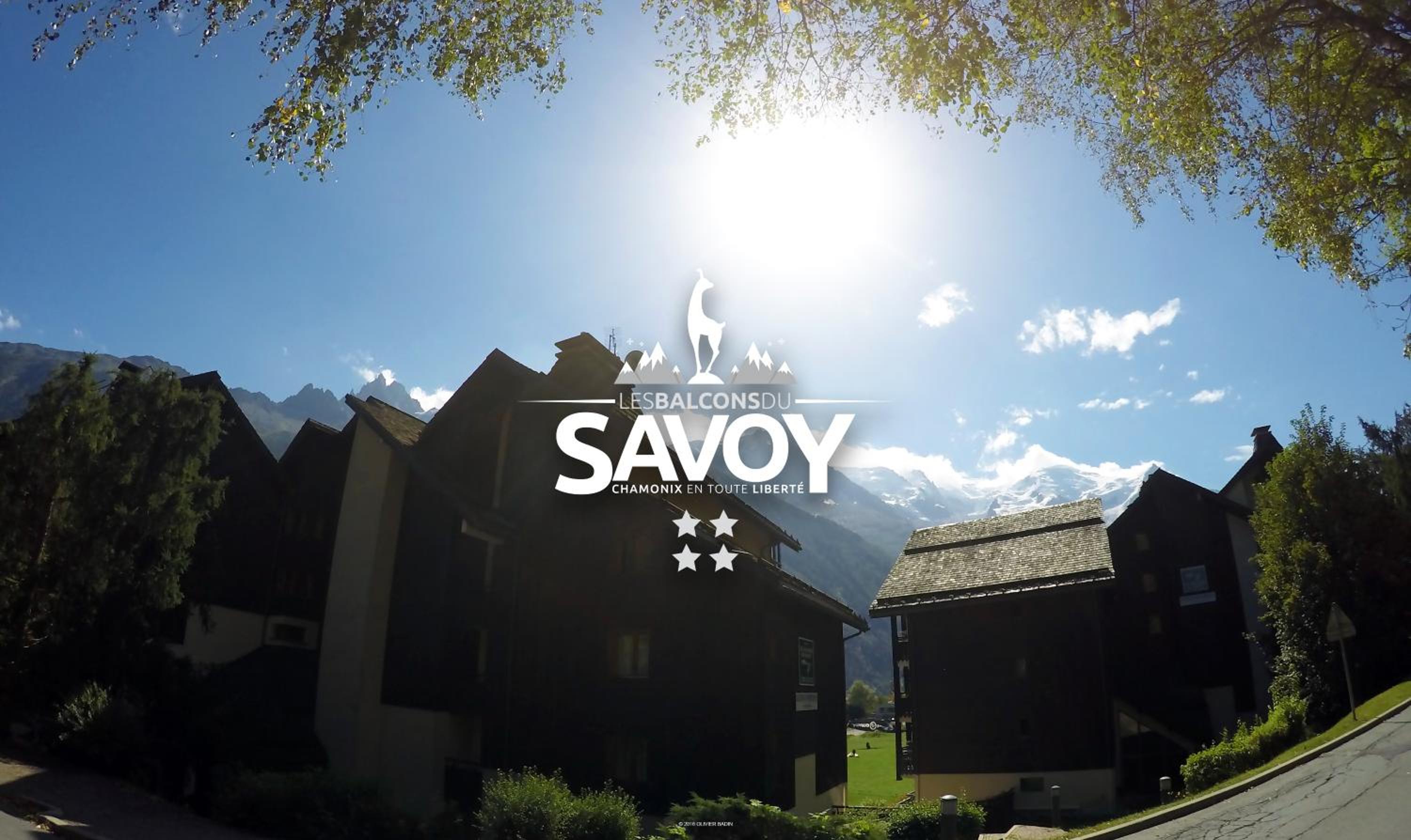 Фото Les Balcons du Savoy