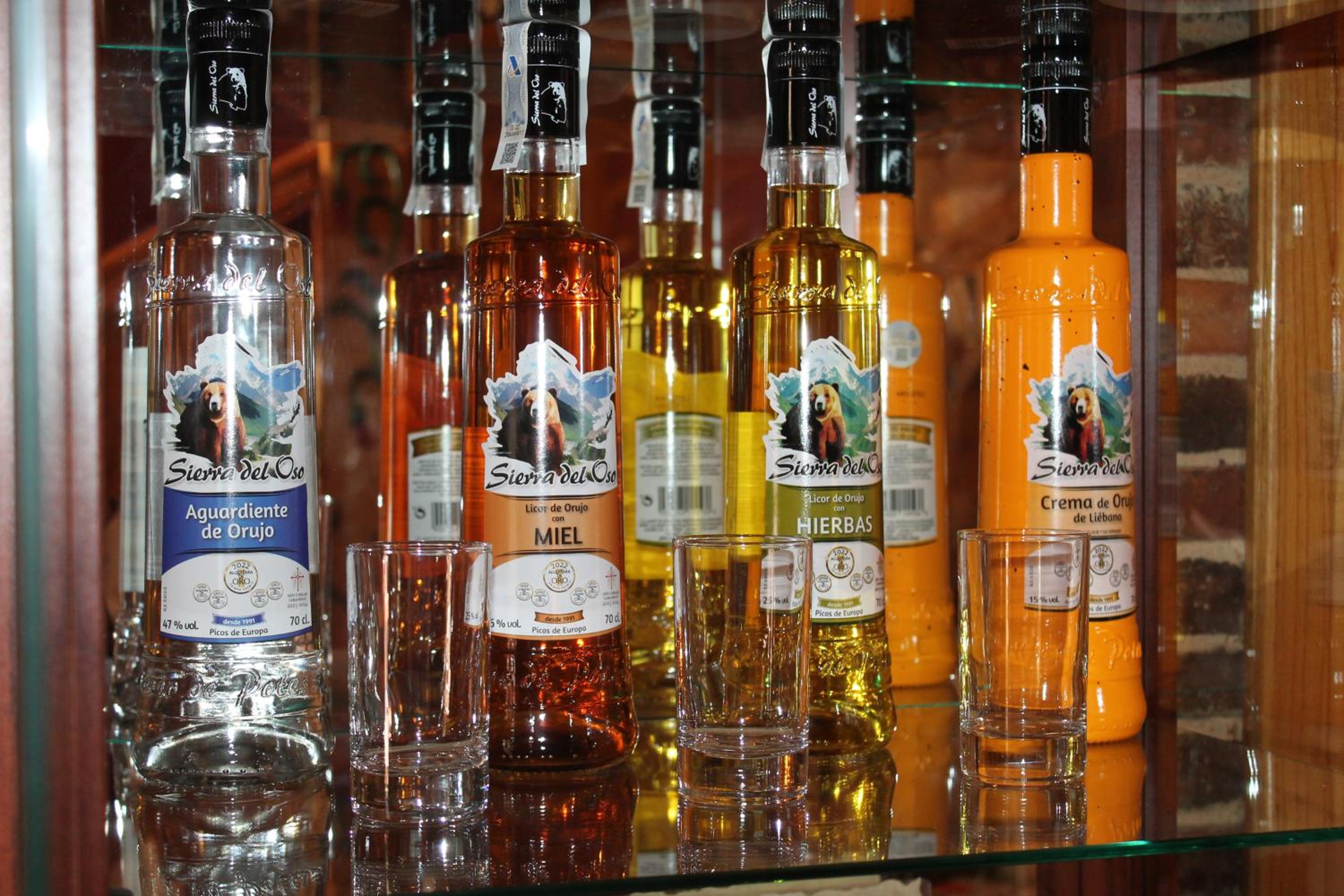 Фото Hotel San Roque