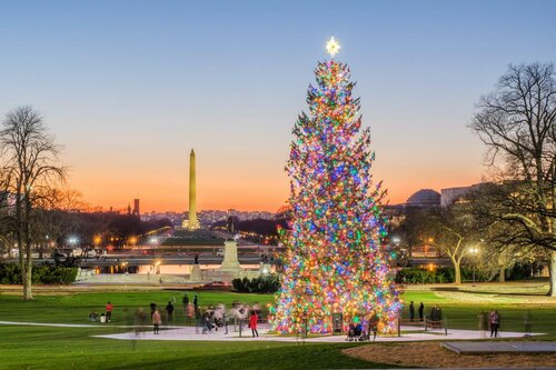 Гостиница Holiday Inn Express Washington Dc Downtown, an Ihg Hotel в Вашингтоне