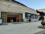 Bjk Foundation (Istanbul, Besiktas, Visnezade Neighborhood, Dolmabahce Avenue, 1/1), public fund