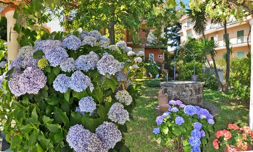 Гостиница Hotel Villa Fernanda