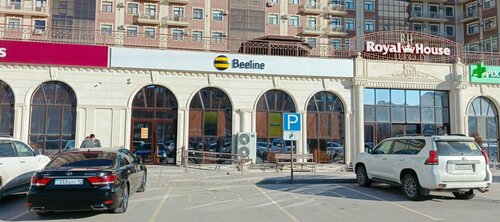 Арбады және трахает