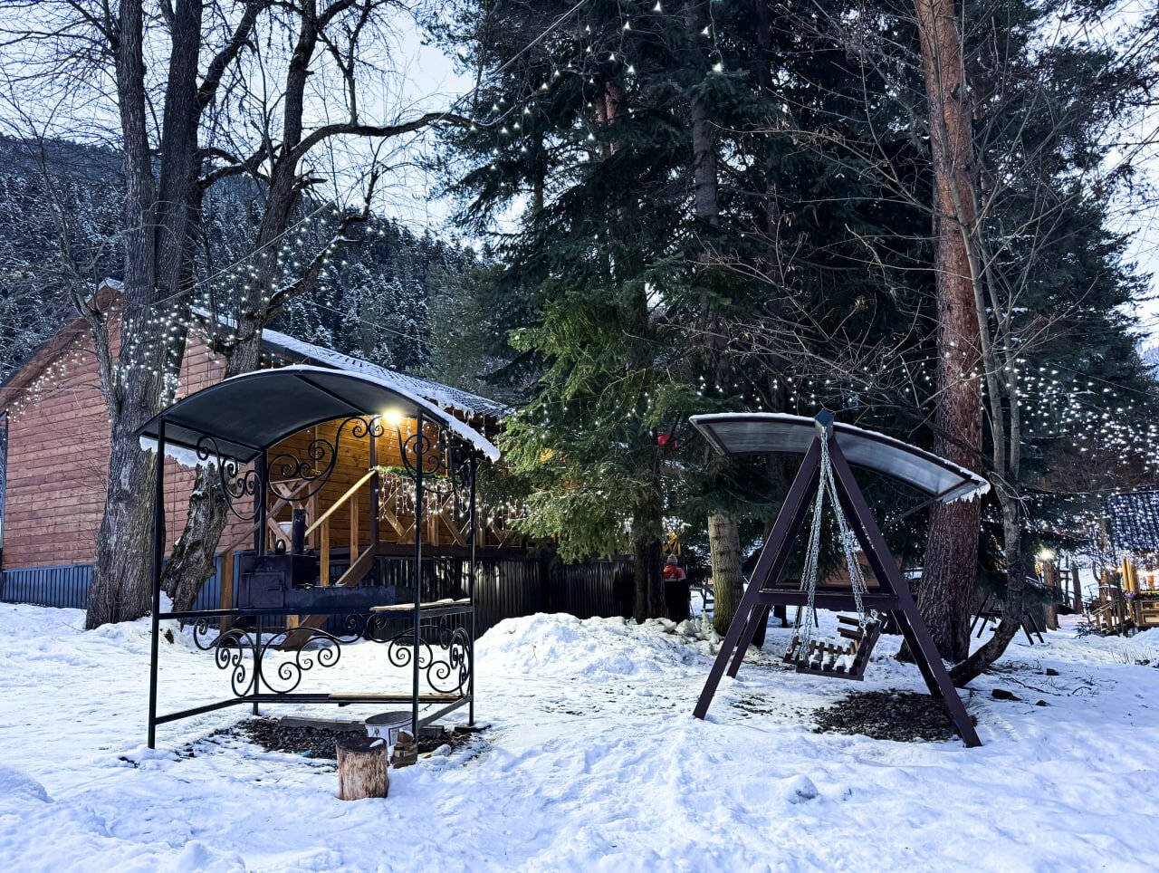 Фото Сабр