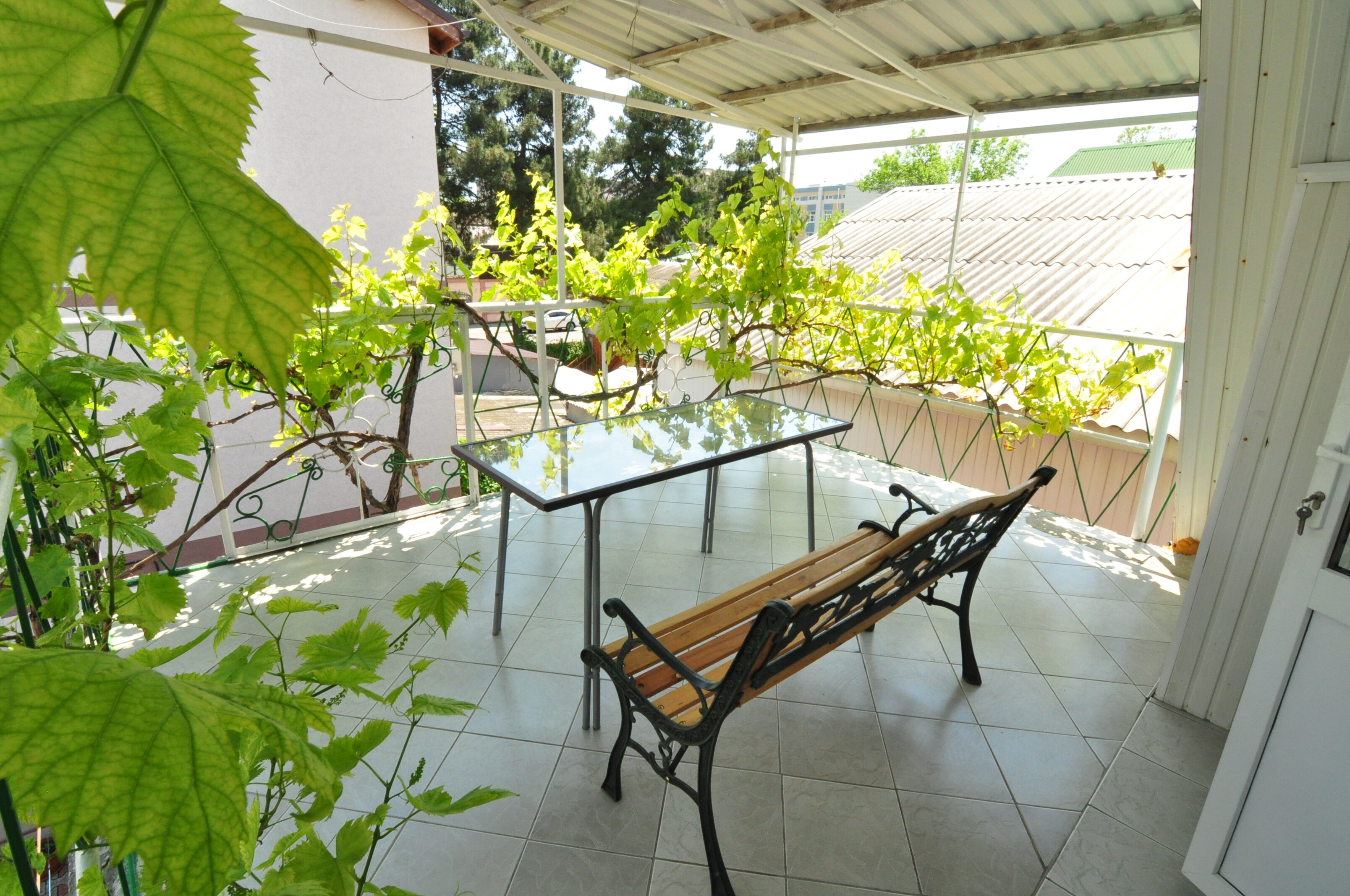 Фото Кристель