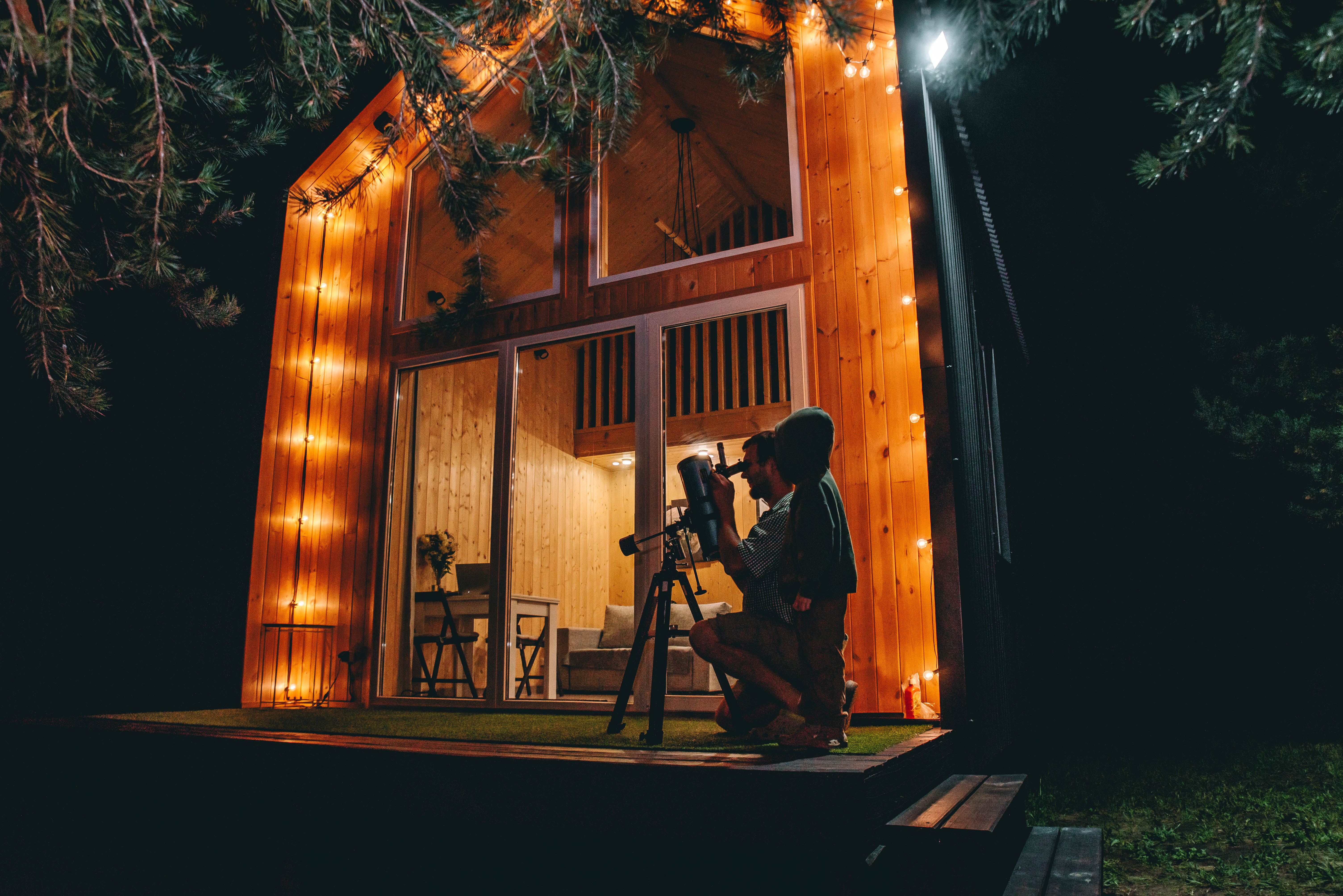 Фото Домик в сосновом бору