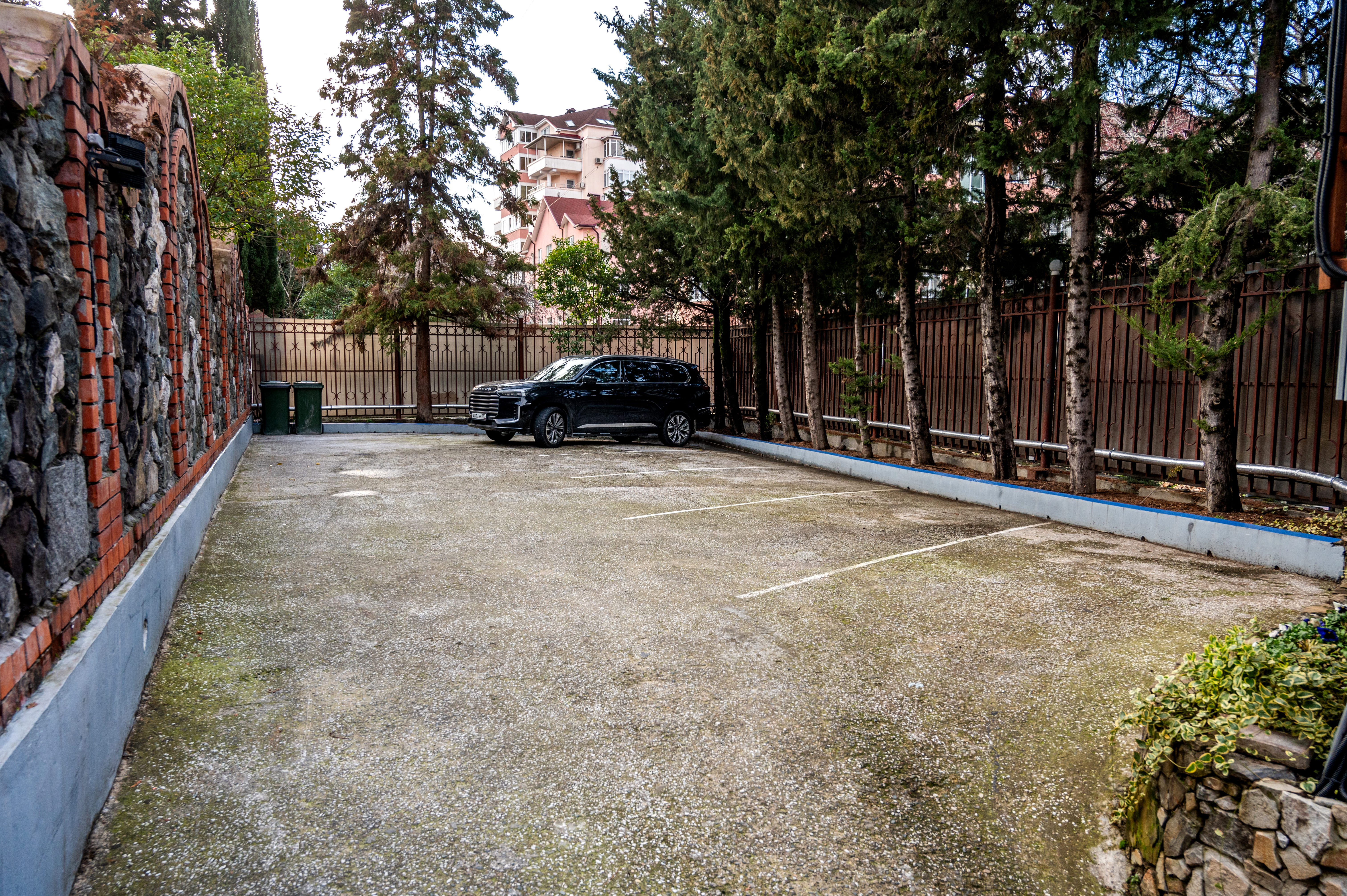 Фото Сенатор Неолит