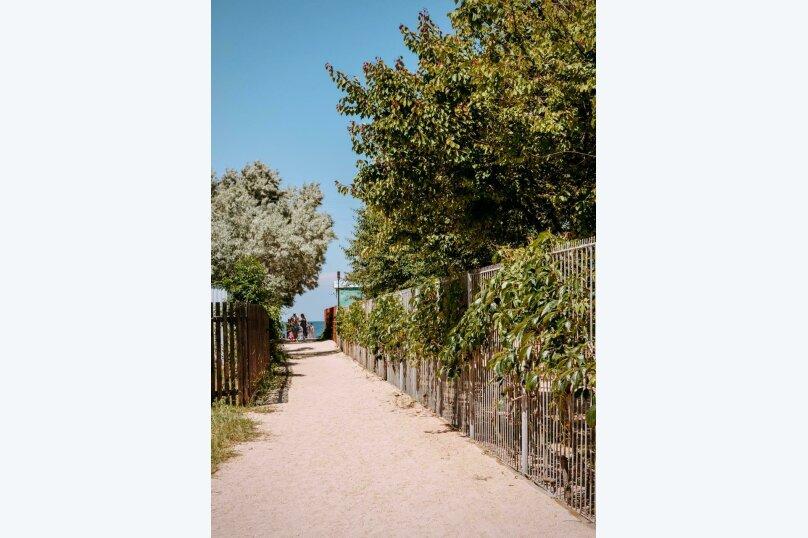 Фото Серебристый лог