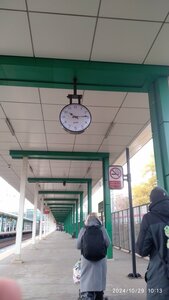 Qizim jinsiy aloqada.