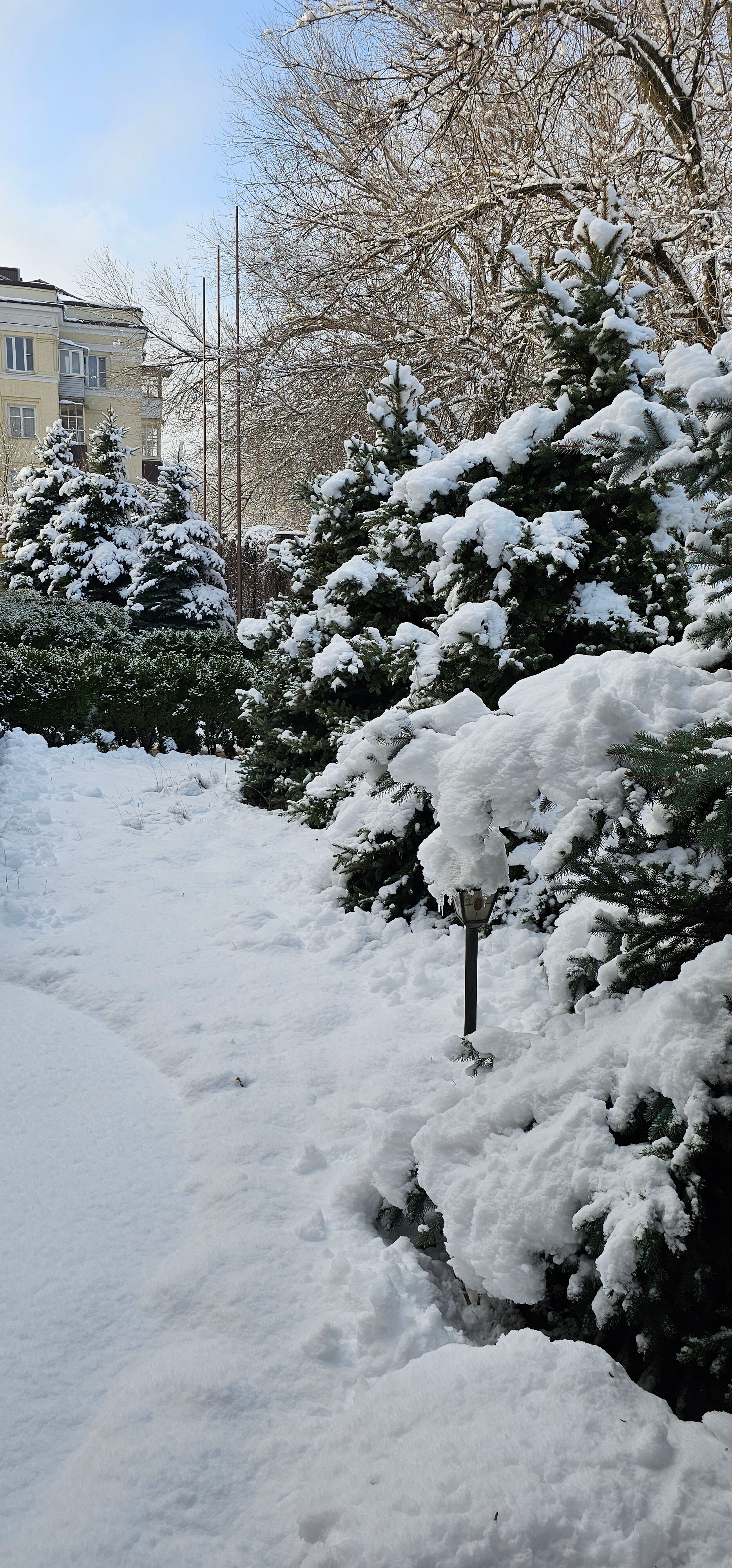 Фото Династия