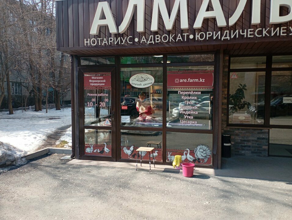 Egg and poultry meat Bird yard, Almaty, photo