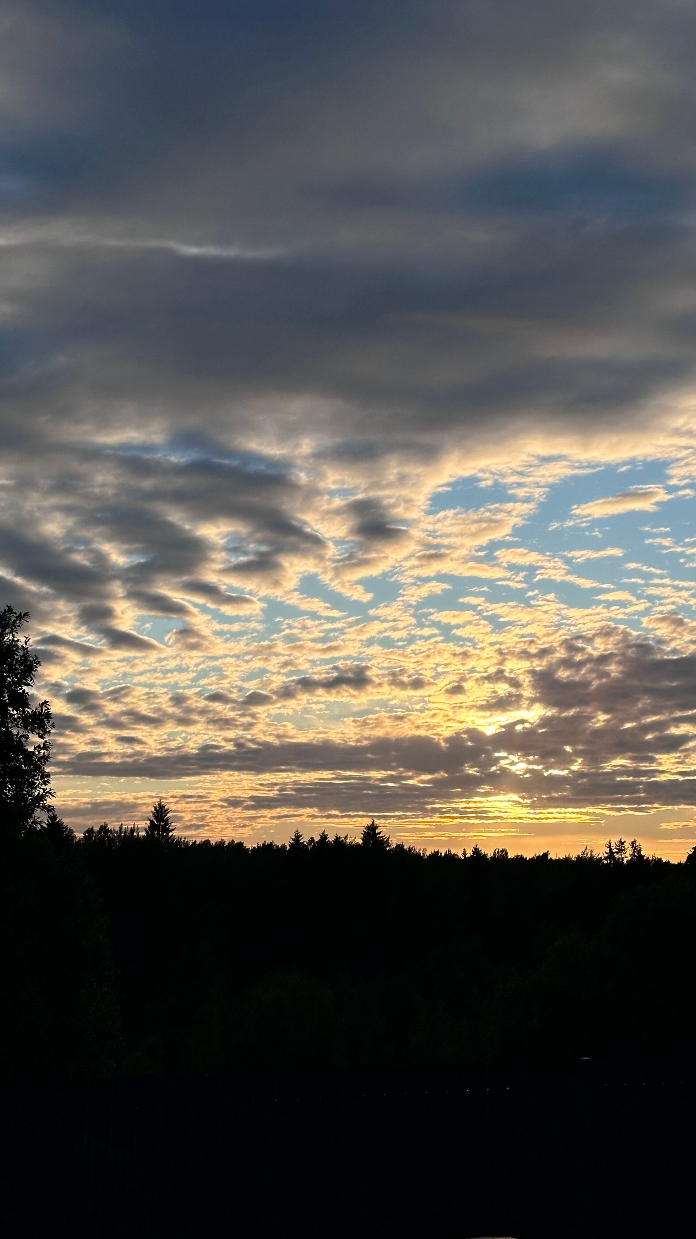 Фото 4 Сезона