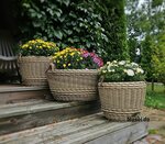 Ротанговые корзинки (mikrorayon Dubrava, kvartal 1, 54), interior goods