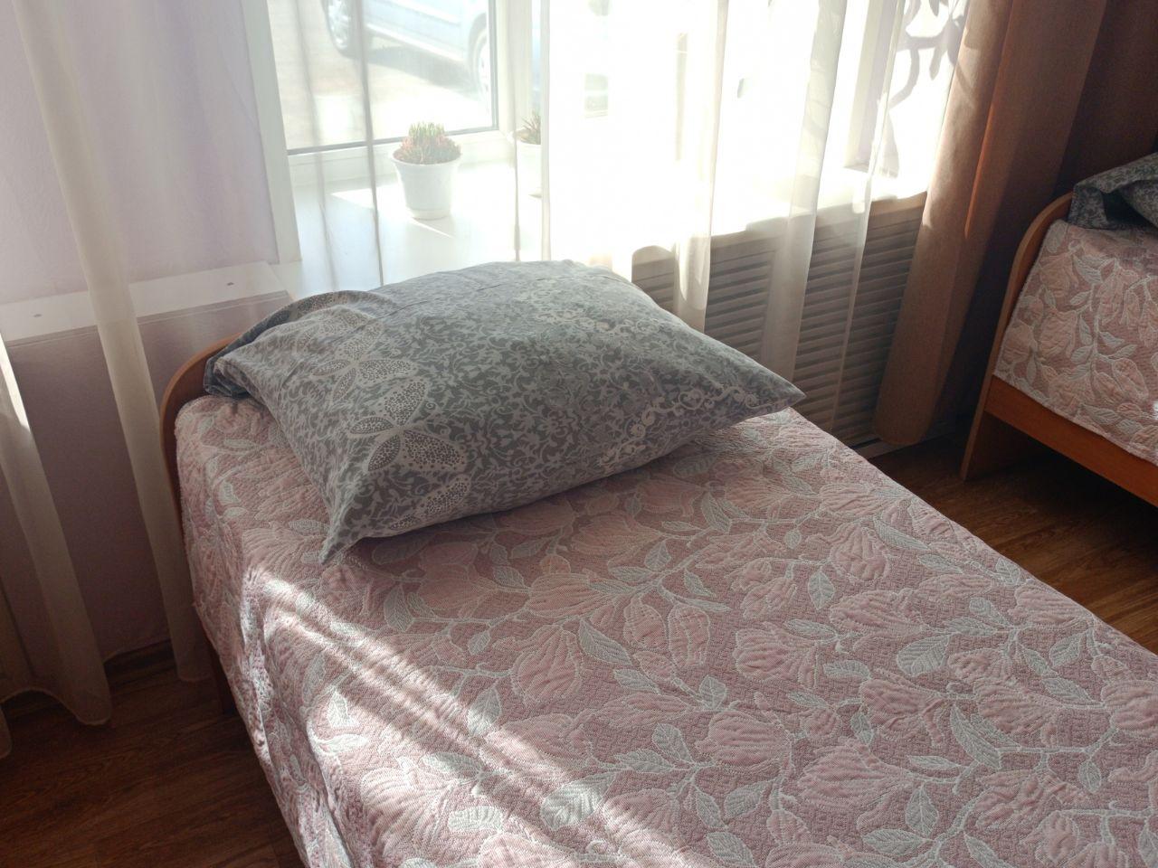 Фото Медведь