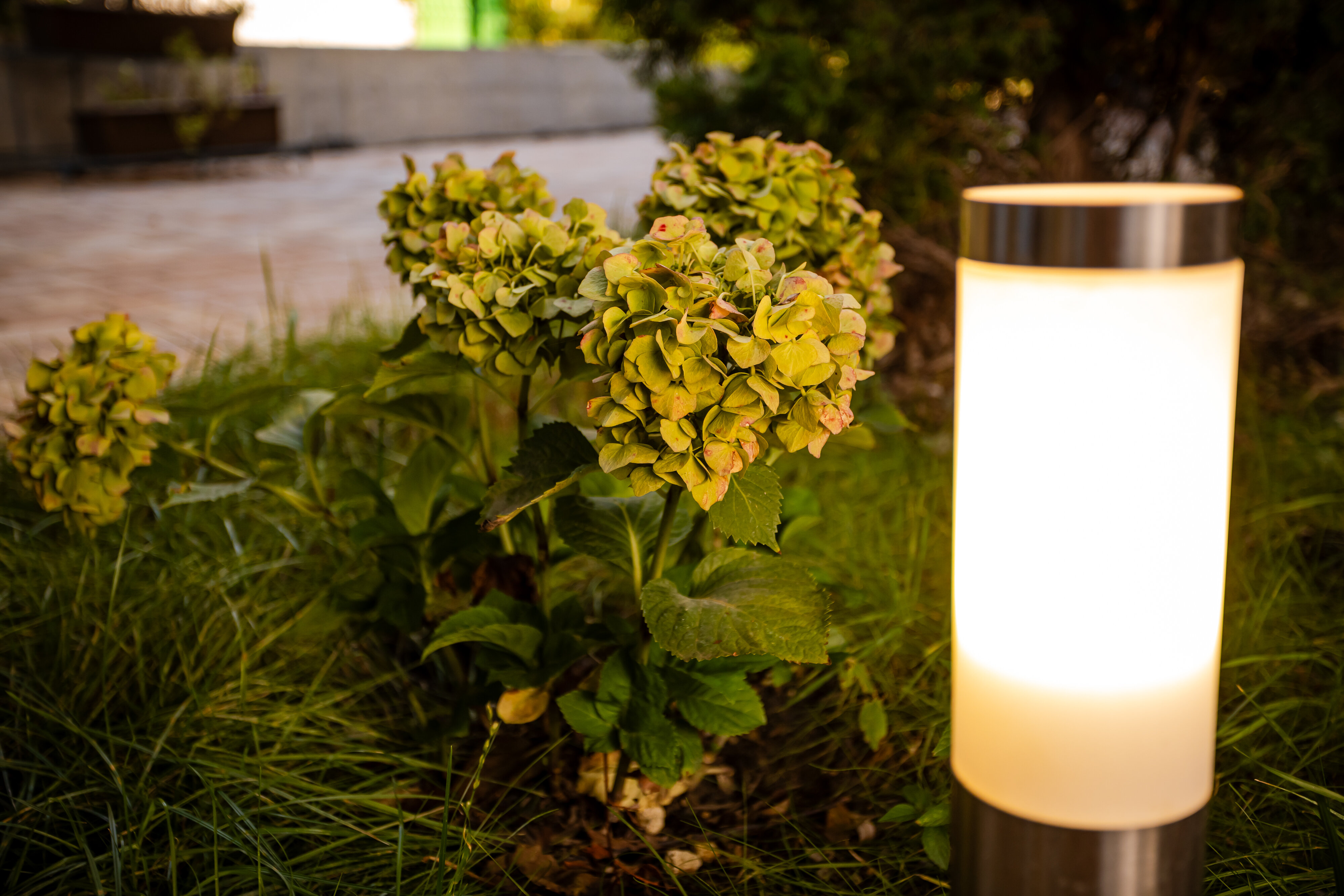 Фото Папа и море