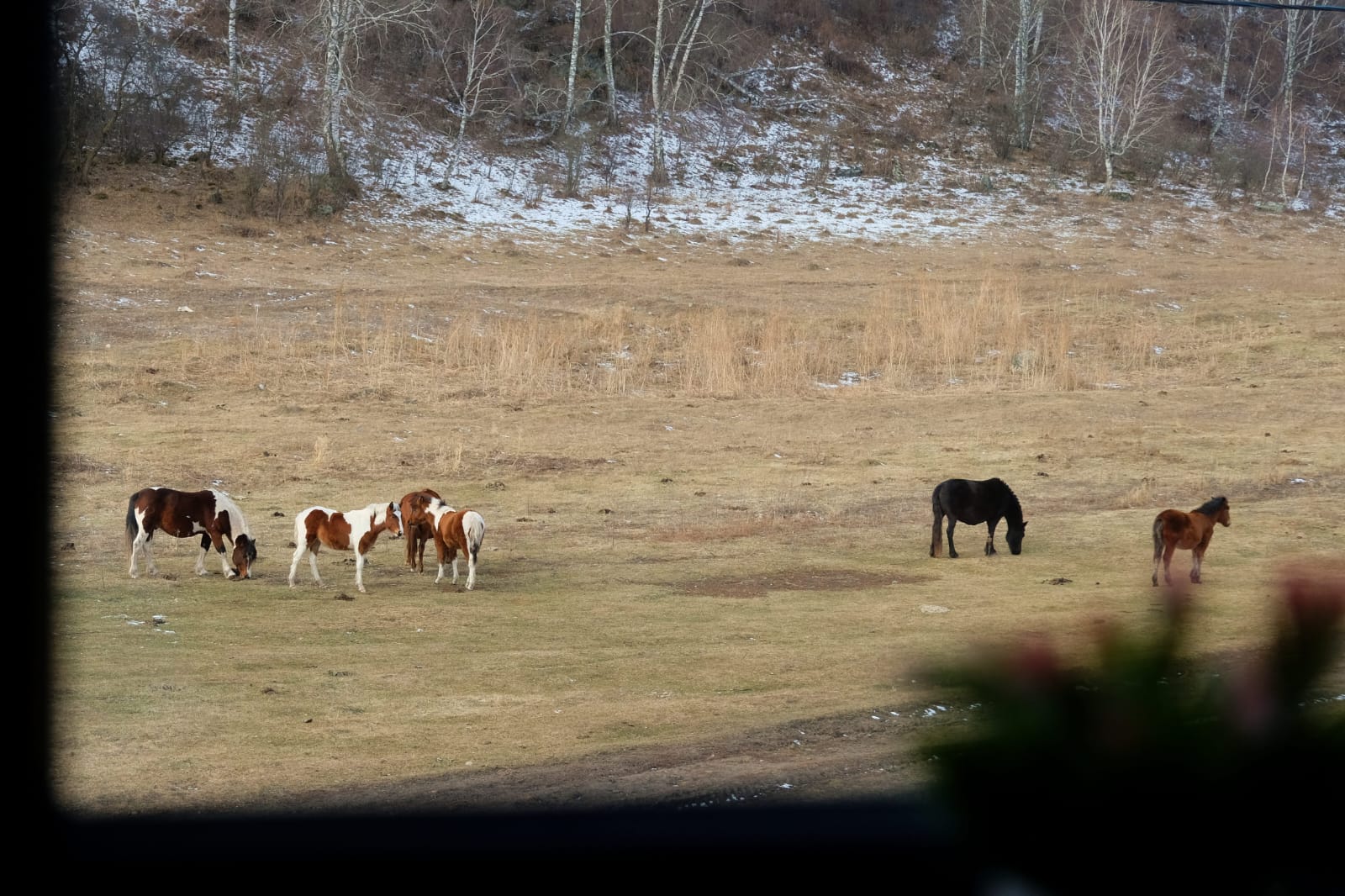 Фото Апарт А-фрейм