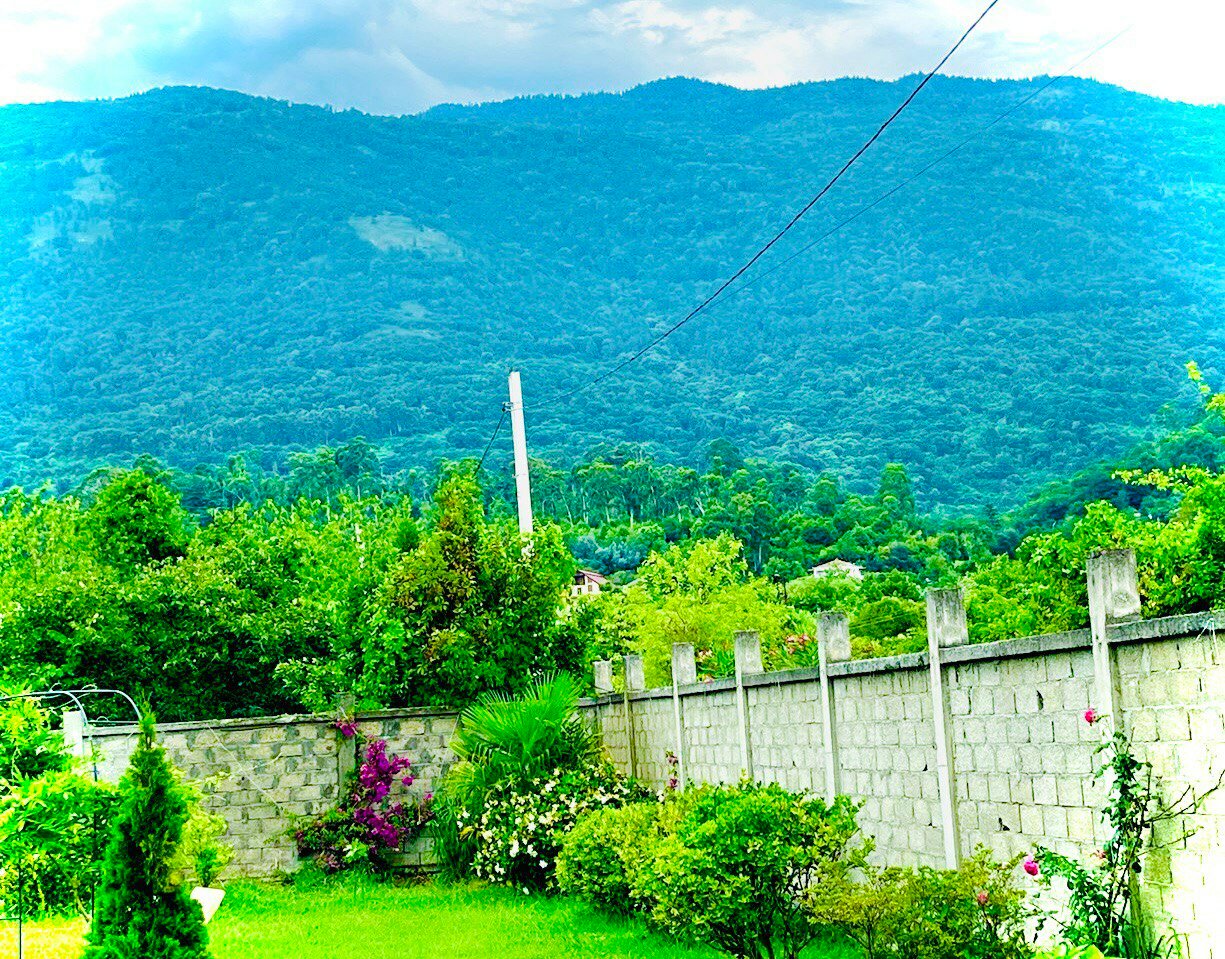 Фото Витторио