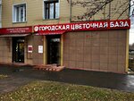 Городская цветочная база (prospekt Lenina, 54), flower shop