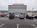 Reno-Detali (Salova Street, 70), auto parts and auto goods store