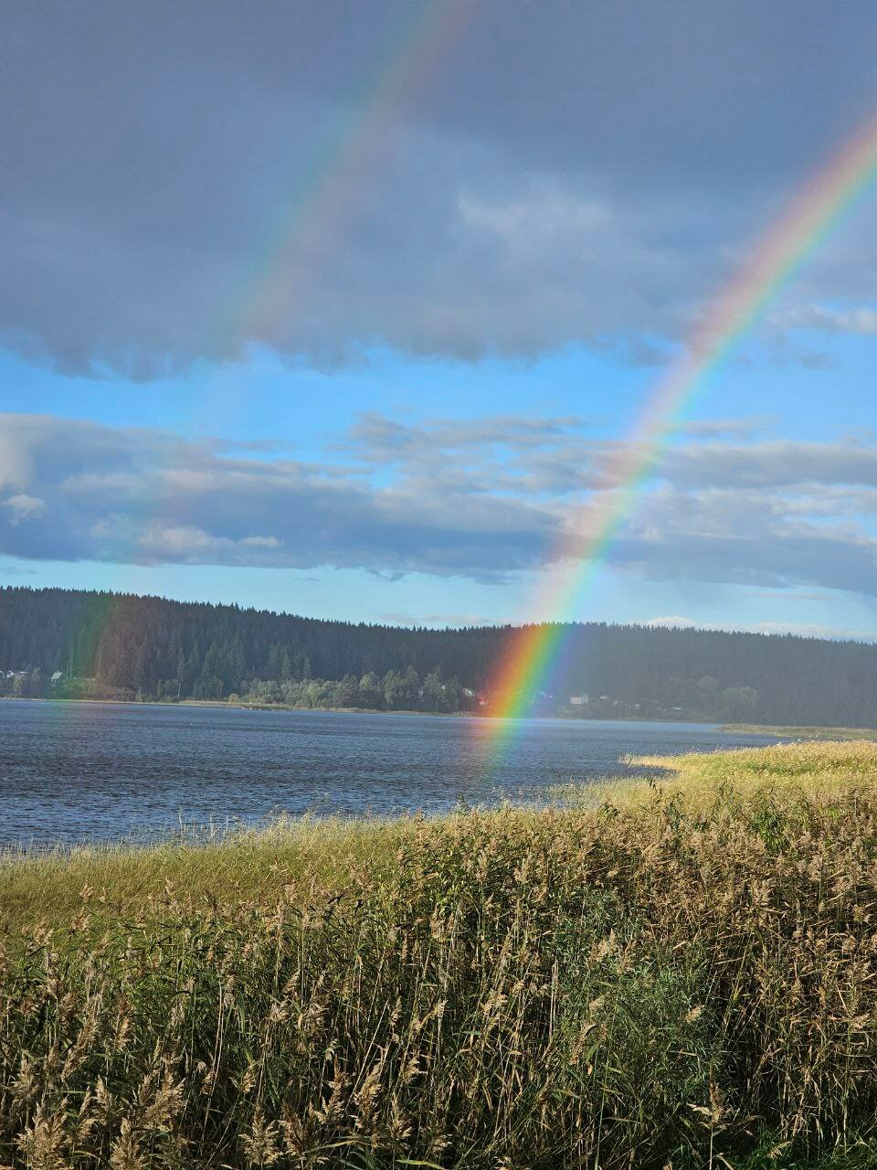 Фото Остров