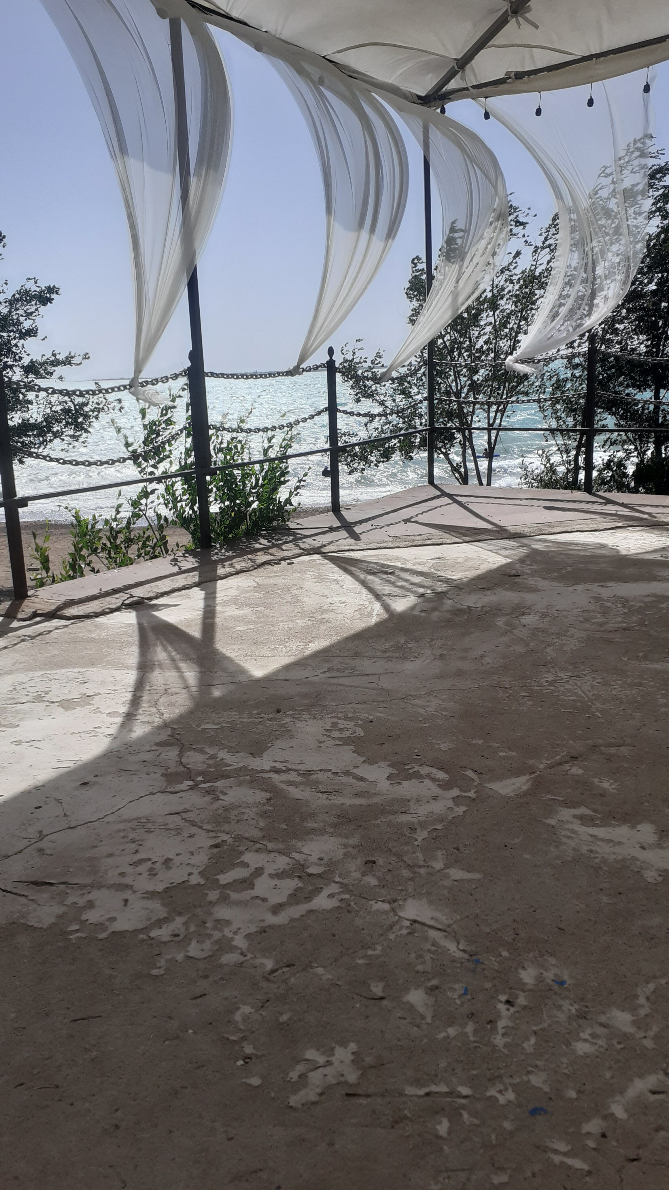 Фото Жемчужина