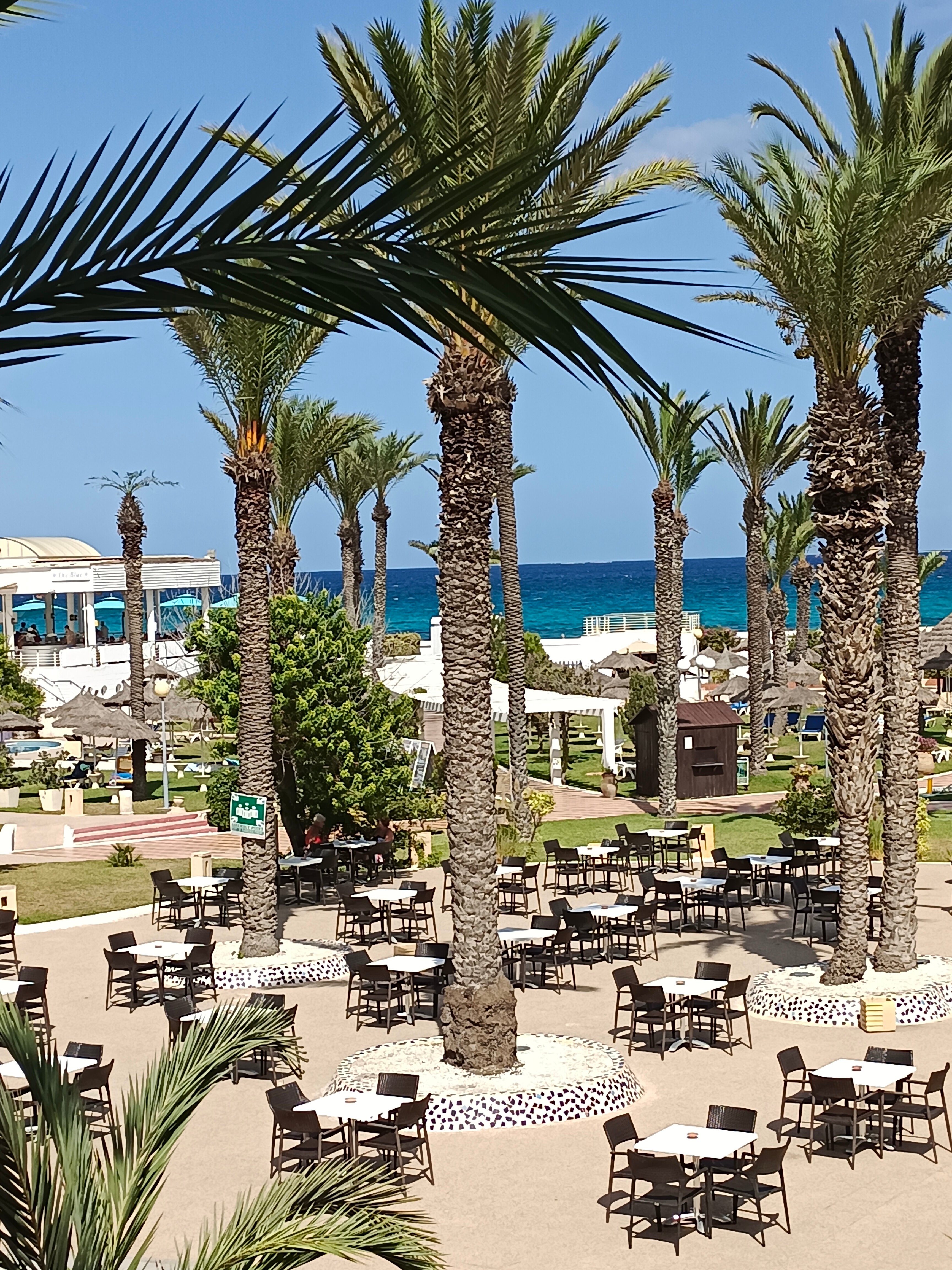 Фото PrimaSol El Mehdi