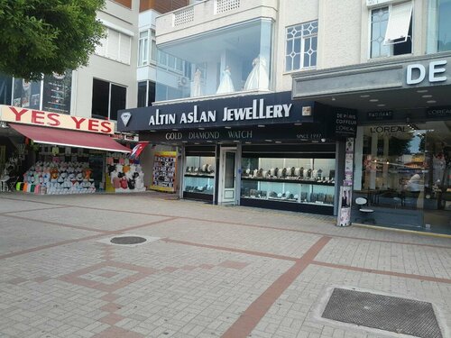 Altın Aslan Kuyumculuk Fotoğraf 1