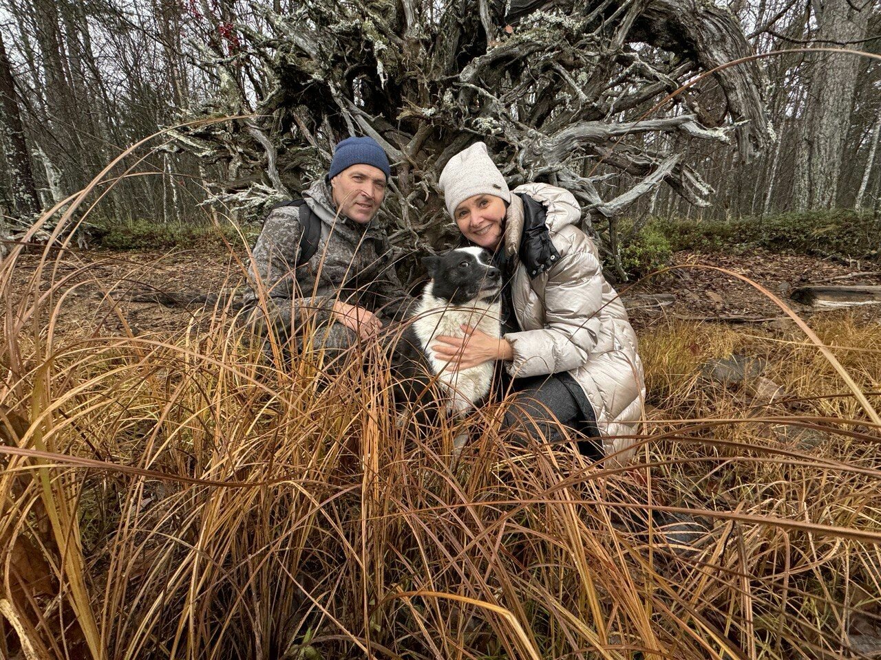 Фото Вилла Ялгуба