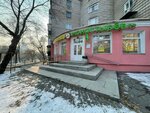 Atomy (Amursky Boulevard, 21), point of delivery