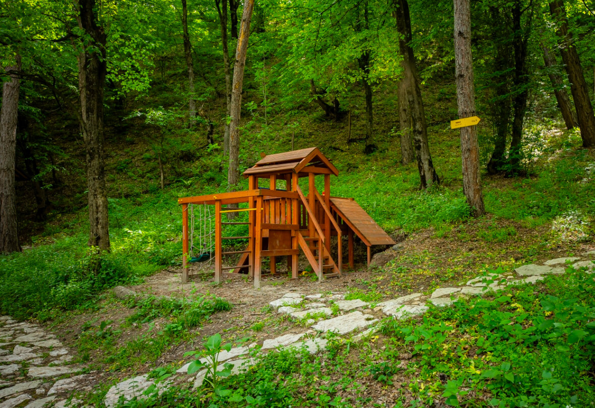 Фото Дилиджазз