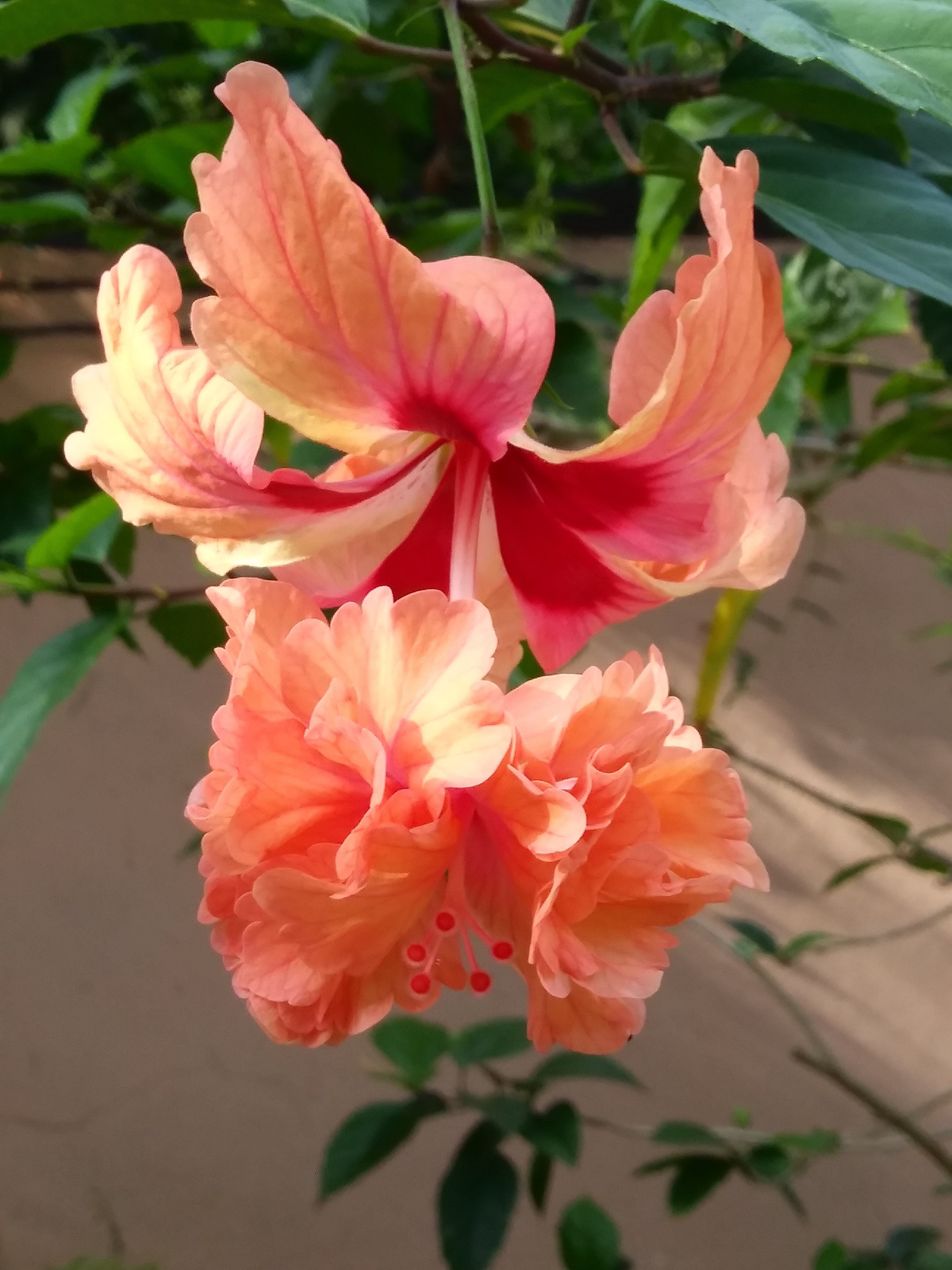 Фото Wongamat Privacy Residence