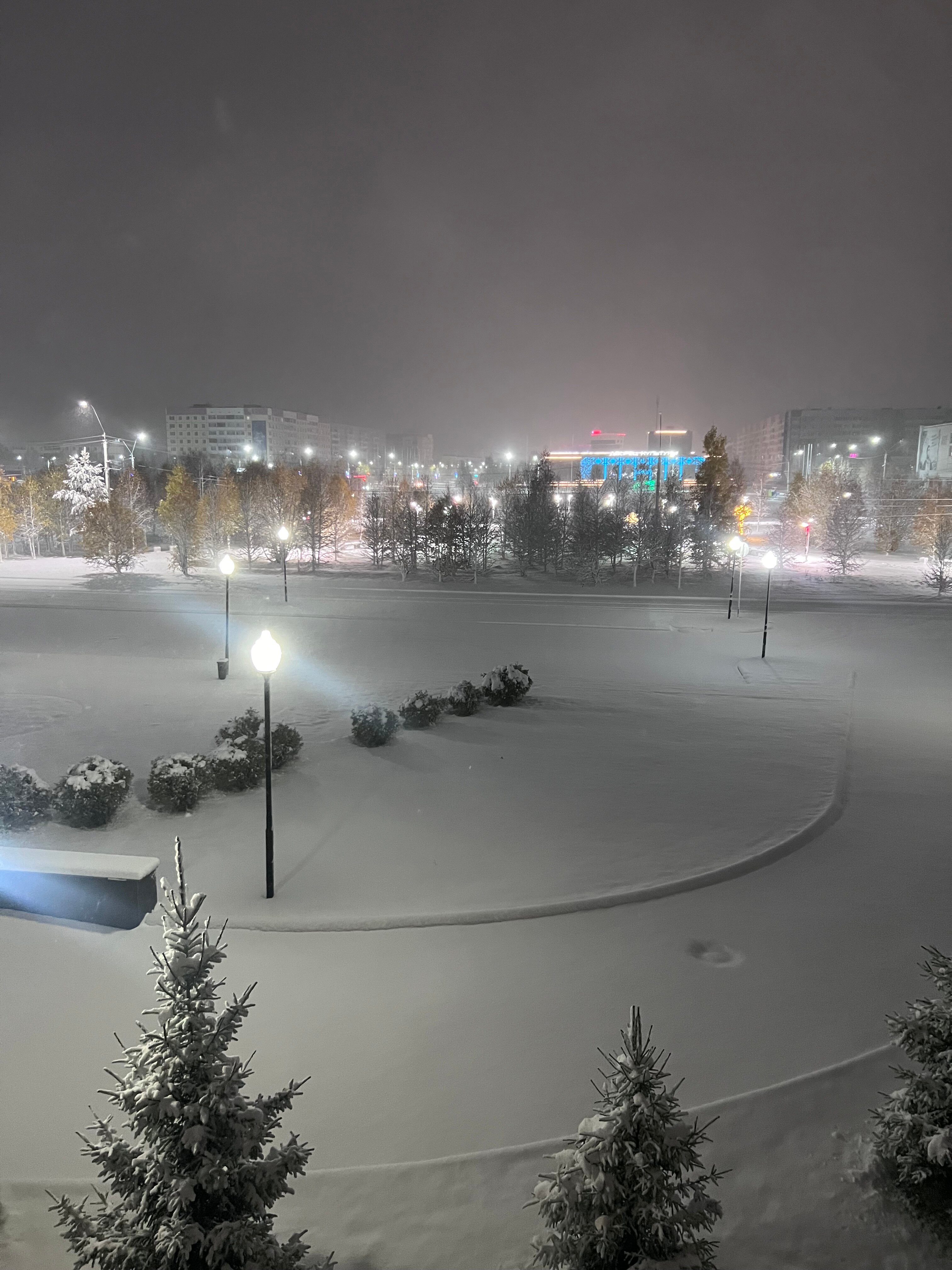 Фото Полярная звезда