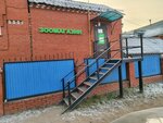 Леопольд (Volodarskogo Street, 1), tienda de animales