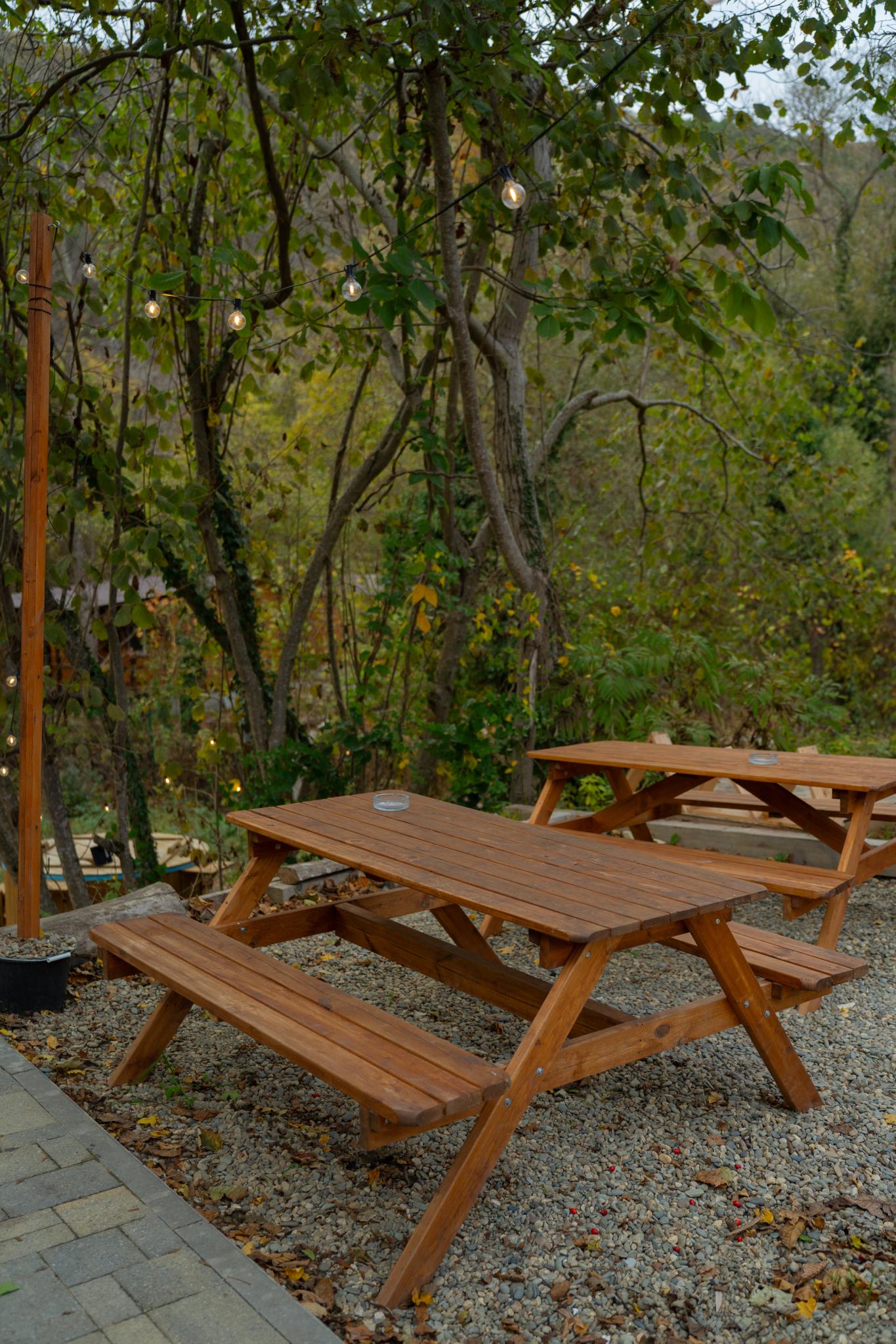 Фото Лимон&Мята