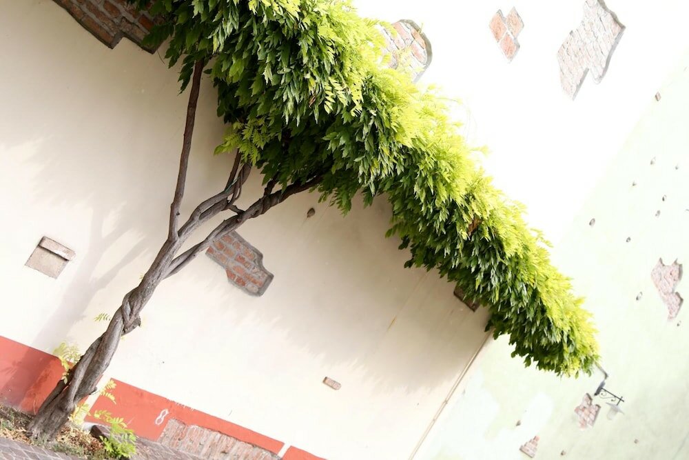 Фото A Casa dei Gonzaga