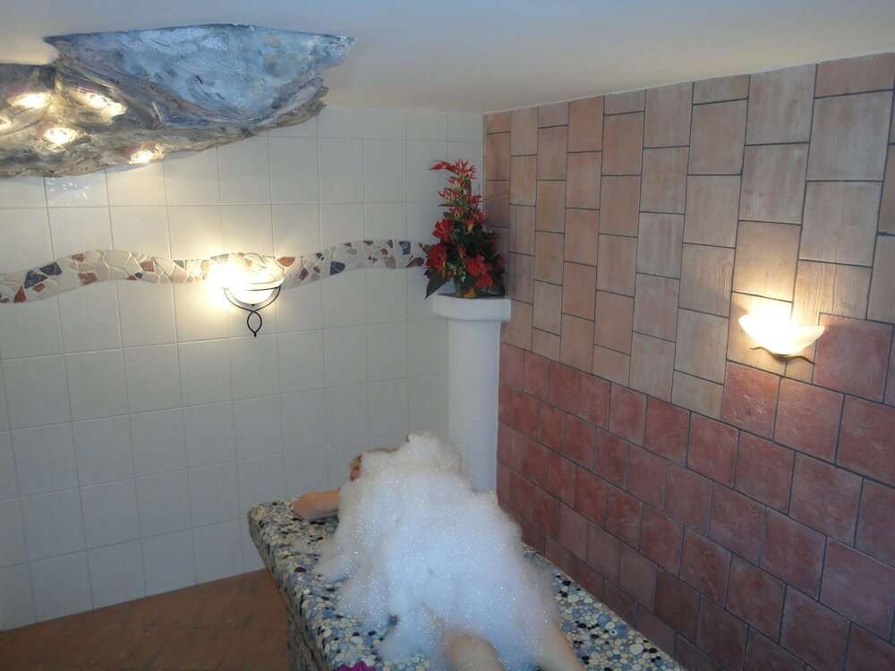 Фото Hotel Lenauhof