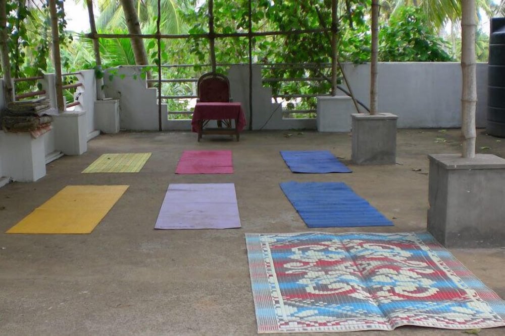 Фото Jickys Nest