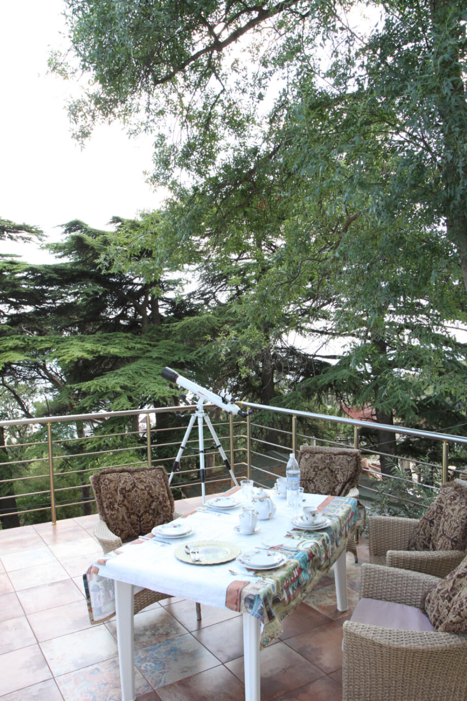 Фото Magic Kingdom