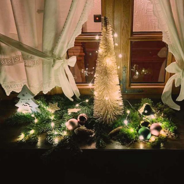 Фото 114749638181