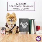 Club Rintintin (İstanbul, Sarıyer, Rumelifeneri Mah., Çiftlik Cad., 28), pet hotel