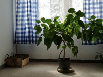 Фото Hotel Hl& xE1; ska