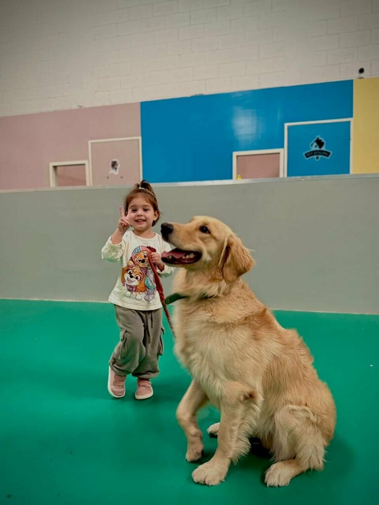 Zoo center Clever Dog, Dubai, photo