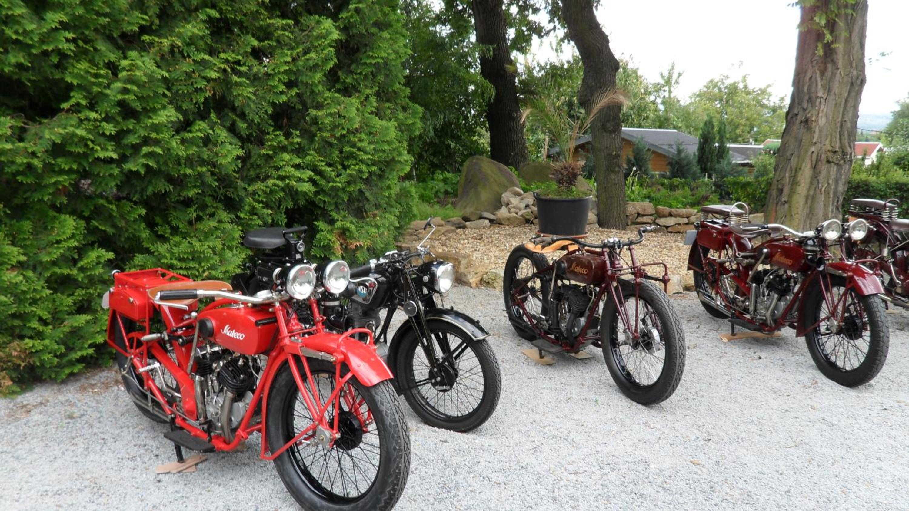 Фото Hotel Garden