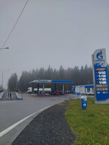 Gas station Gazpromneft, Saint‑Petersburg and Leningrad Oblast, photo