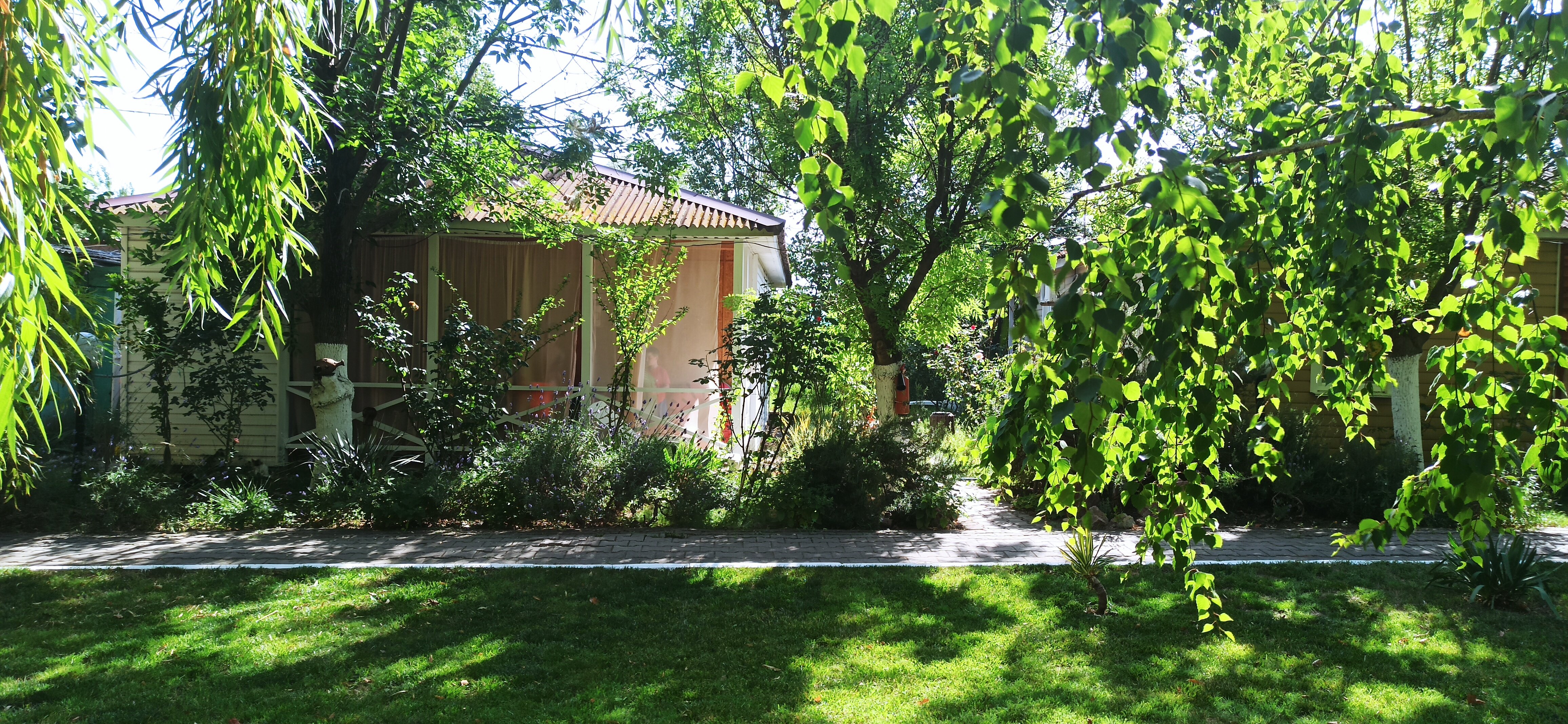 Фото Песчаный берег