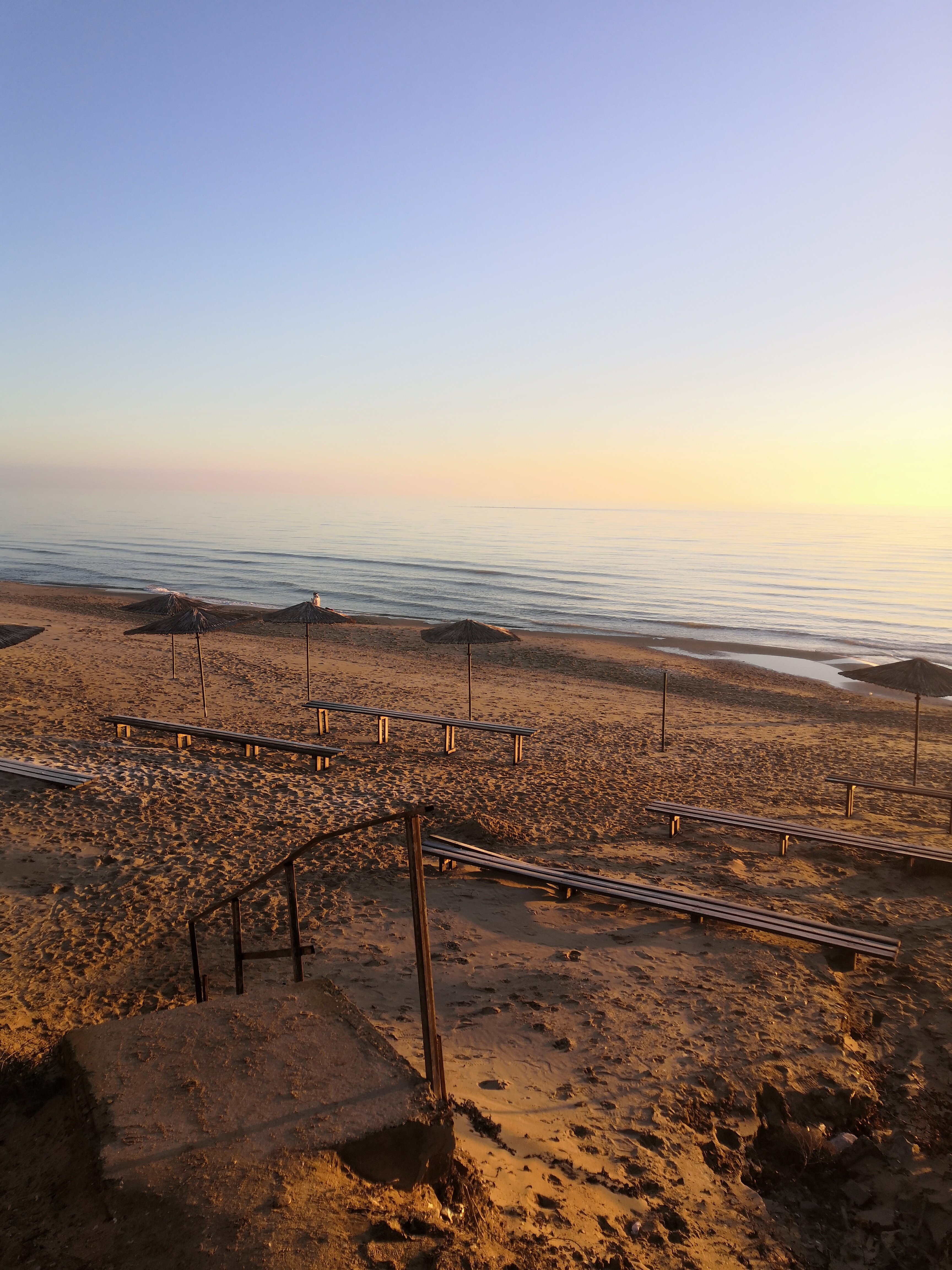 Фото Фламинго