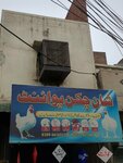 Shan chicken shop (Chohan Road, 24), egg and poultry meat