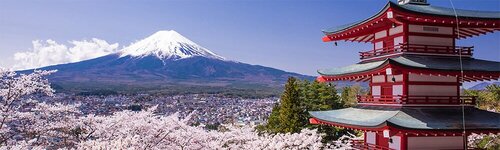 Транни бар порно бисексуалдар